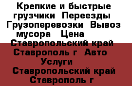 Крепкие и быстрые грузчики. Переезды. Грузоперевозки. Вывоз мусора › Цена ­ 250 - Ставропольский край, Ставрополь г. Авто » Услуги   . Ставропольский край,Ставрополь г.